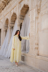 Elegant Pastel Yellow Embroidered 3 Piece Suit for Women