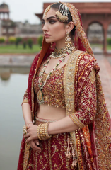 Embellished Red Bridal Lehnga Choli Pakistani Dress