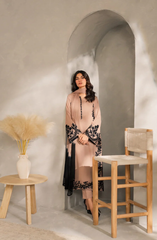 Elegant Nude & Black Embroidered Traditional Outfit
