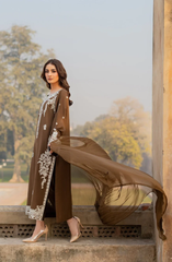 Elegant Brown Karandi Suit Festive Wear