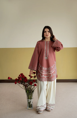Embroidered Lawn Cotton 2PC Suit